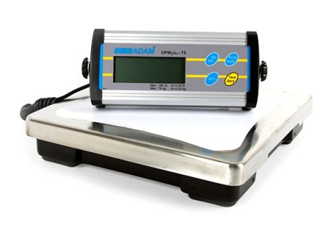 Electronic scale with wired display